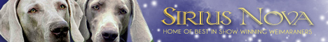 Banner výmarský ohař Sirius Nova