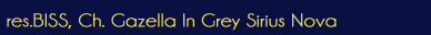 Ch. Gazella In Grey Sirius Nova